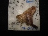  ( - MAL-04308)  @12 [ ] Unspecified (default): All Rights Reserved  Unspecified Unspecified