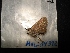  ( - MAL-04312)  @12 [ ] Unspecified (default): All Rights Reserved  Unspecified Unspecified