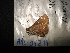  ( - MAL-04314)  @12 [ ] Unspecified (default): All Rights Reserved  Unspecified Unspecified