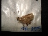  ( - MAL-04315)  @12 [ ] Unspecified (default): All Rights Reserved  Unspecified Unspecified