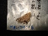  ( - MAL-04316)  @11 [ ] Unspecified (default): All Rights Reserved  Unspecified Unspecified