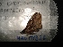  ( - MAL-04326)  @12 [ ] Unspecified (default): All Rights Reserved  Unspecified Unspecified