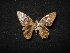  ( - MAL-04364)  @12 [ ] Unspecified (default): All Rights Reserved  Unspecified Unspecified