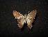  ( - MAL-04365)  @11 [ ] Unspecified (default): All Rights Reserved  Unspecified Unspecified
