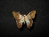  ( - MAL-04366)  @11 [ ] Unspecified (default): All Rights Reserved  Unspecified Unspecified