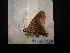  ( - MAL-04368)  @11 [ ] Unspecified (default): All Rights Reserved  Unspecified Unspecified
