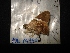  ( - MAL-04392)  @12 [ ] Unspecified (default): All Rights Reserved  Unspecified Unspecified