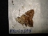  ( - MAL-04394)  @12 [ ] Unspecified (default): All Rights Reserved  Unspecified Unspecified