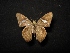  ( - MAL-04395)  @12 [ ] Unspecified (default): All Rights Reserved  Unspecified Unspecified