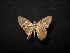  ( - MAL-04396)  @12 [ ] Unspecified (default): All Rights Reserved  Unspecified Unspecified