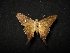  ( - MAL-04475)  @13 [ ] Unspecified (default): All Rights Reserved  Unspecified Unspecified