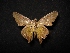  ( - MAL-04476)  @13 [ ] Unspecified (default): All Rights Reserved  Unspecified Unspecified