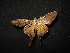  ( - MAL-04477)  @13 [ ] Unspecified (default): All Rights Reserved  Unspecified Unspecified