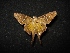  ( - MAL-04478)  @13 [ ] Unspecified (default): All Rights Reserved  Unspecified Unspecified