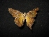 ( - MAL-04479)  @12 [ ] Unspecified (default): All Rights Reserved  Unspecified Unspecified