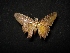  ( - MAL-04480)  @12 [ ] Unspecified (default): All Rights Reserved  Unspecified Unspecified
