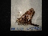  ( - MAL-04481)  @12 [ ] Unspecified (default): All Rights Reserved  Unspecified Unspecified
