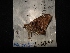  ( - MAL-04482)  @12 [ ] Unspecified (default): All Rights Reserved  Unspecified Unspecified