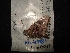  ( - MAL-04483)  @12 [ ] Unspecified (default): All Rights Reserved  Unspecified Unspecified