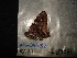  ( - MAL-04485)  @12 [ ] Unspecified (default): All Rights Reserved  Unspecified Unspecified