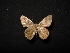  ( - MAL-04493)  @13 [ ] Unspecified (default): All Rights Reserved  Unspecified Unspecified