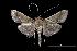  ( - MAL-03360)  @14 [ ] Unspecified (default): All Rights Reserved  Unspecified Unspecified