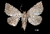 ( - MAL-03374)  @12 [ ] Unspecified (default): All Rights Reserved  Unspecified Unspecified