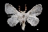  ( - MAL-03391)  @13 [ ] Unspecified (default): All Rights Reserved  Unspecified Unspecified