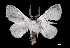  ( - MAL-03391)  @13 [ ] Unspecified (default): All Rights Reserved  Unspecified Unspecified