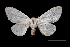  ( - MAL-03386)  @13 [ ] Unspecified (default): All Rights Reserved  Unspecified Unspecified