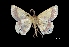  ( - MAL-03277)  @13 [ ] Unspecified (default): All Rights Reserved  Unspecified Unspecified