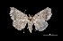  ( - MAL-03318)  @13 [ ] Unspecified (default): All Rights Reserved  Unspecified Unspecified