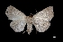  ( - MAL-03318)  @13 [ ] Unspecified (default): All Rights Reserved  Unspecified Unspecified
