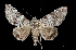  ( - MAL-03285)  @14 [ ] Unspecified (default): All Rights Reserved  Unspecified Unspecified