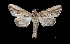  ( - MAL-03273)  @14 [ ] Unspecified (default): All Rights Reserved  Unspecified Unspecified