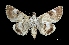  ( - MAL-03361)  @14 [ ] Unspecified (default): All Rights Reserved  Unspecified Unspecified