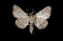  ( - MAL-03280)  @13 [ ] Unspecified (default): All Rights Reserved  Unspecified Unspecified