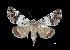  ( - MAL-03292)  @14 [ ] Unspecified (default): All Rights Reserved  Unspecified Unspecified