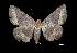  ( - MAL-03307)  @13 [ ] Unspecified (default): All Rights Reserved  Unspecified Unspecified