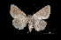  ( - MAL-03307)  @13 [ ] Unspecified (default): All Rights Reserved  Unspecified Unspecified