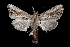  ( - MAL-03279)  @14 [ ] Unspecified (default): All Rights Reserved  Unspecified Unspecified