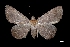  ( - MAL-03262)  @12 [ ] Unspecified (default): All Rights Reserved  Unspecified Unspecified
