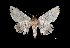  ( - MAL-03265)  @13 [ ] Unspecified (default): All Rights Reserved  Unspecified Unspecified