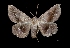  ( - MAL-03290)  @13 [ ] Unspecified (default): All Rights Reserved  Unspecified Unspecified