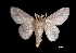  ( - MAL-03266)  @13 [ ] Unspecified (default): All Rights Reserved  Unspecified Unspecified
