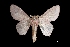  ( - MAL-03257)  @13 [ ] Unspecified (default): All Rights Reserved  Unspecified Unspecified