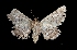  ( - MAL-03303)  @13 [ ] Unspecified (default): All Rights Reserved  Unspecified Unspecified