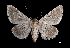  ( - MAL-03299)  @13 [ ] Unspecified (default): All Rights Reserved  Unspecified Unspecified