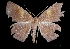  ( - MAL-03254)  @13 [ ] Unspecified (default): All Rights Reserved  Unspecified Unspecified