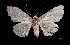  ( - MAL-03304)  @13 [ ] Unspecified (default): All Rights Reserved  Unspecified Unspecified